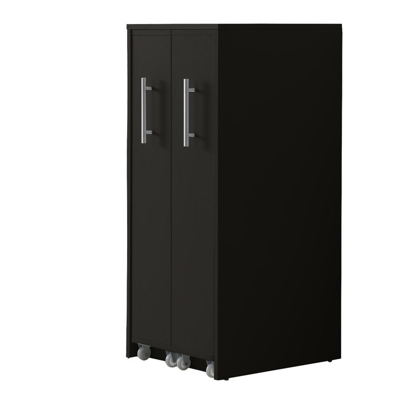 Josielyn Storage Bookcase