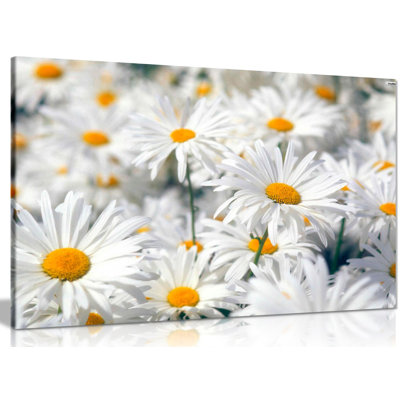 Daisys Daisy - Wrapped Canvas Print