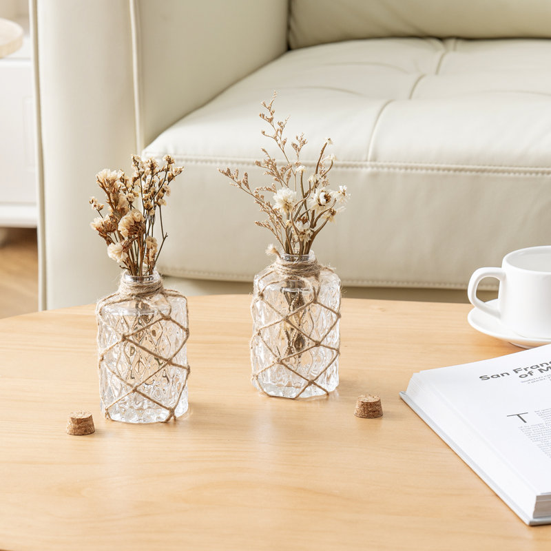 2 Pieces Clear 28cm Indoor Glass Jars Set