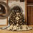 Machine Washable Overdyed Brown Area Rug
