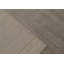 Area Rug in Light Brown