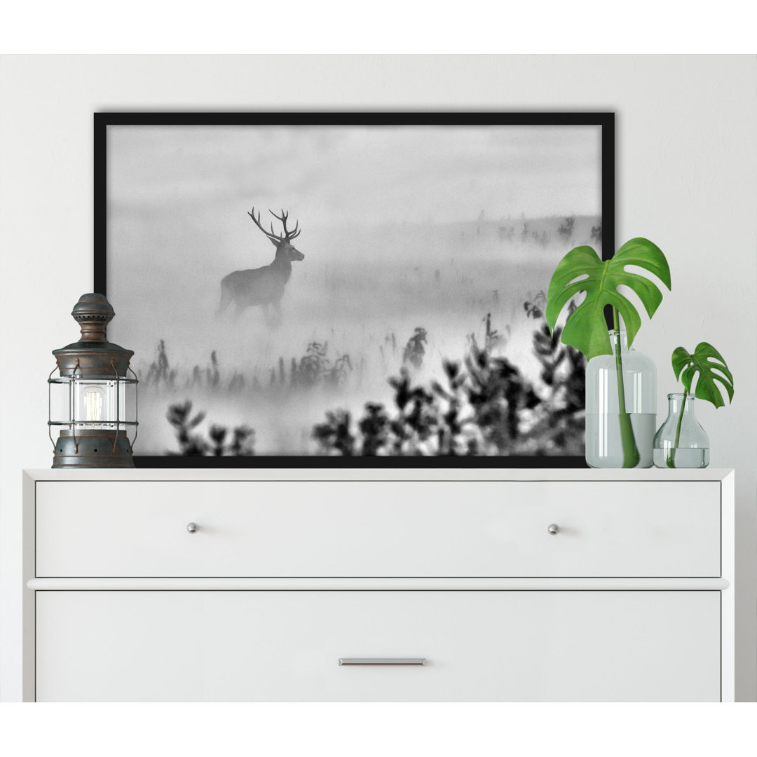 Gerahmtes Poster Deer in Fog