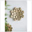 Plaque murale succulente