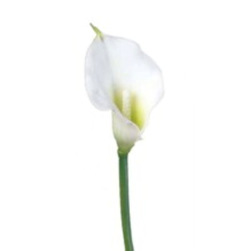 Ensemble de 6 fleurs artificielles 18 po Calla