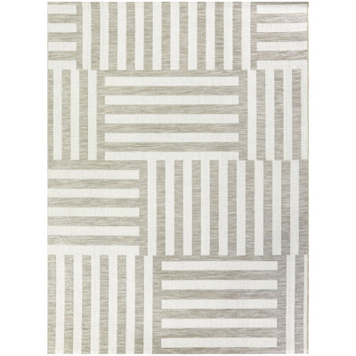 Striped Indoor / Outdoor Rug
