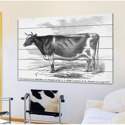 " Ayrshire Cow " Graphic Art Print