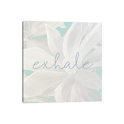 Exhale 1 Piece Wrapped Canvas Wall Art