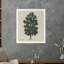 Forest Green Print-182892354