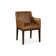 Upholstered Arm Chair