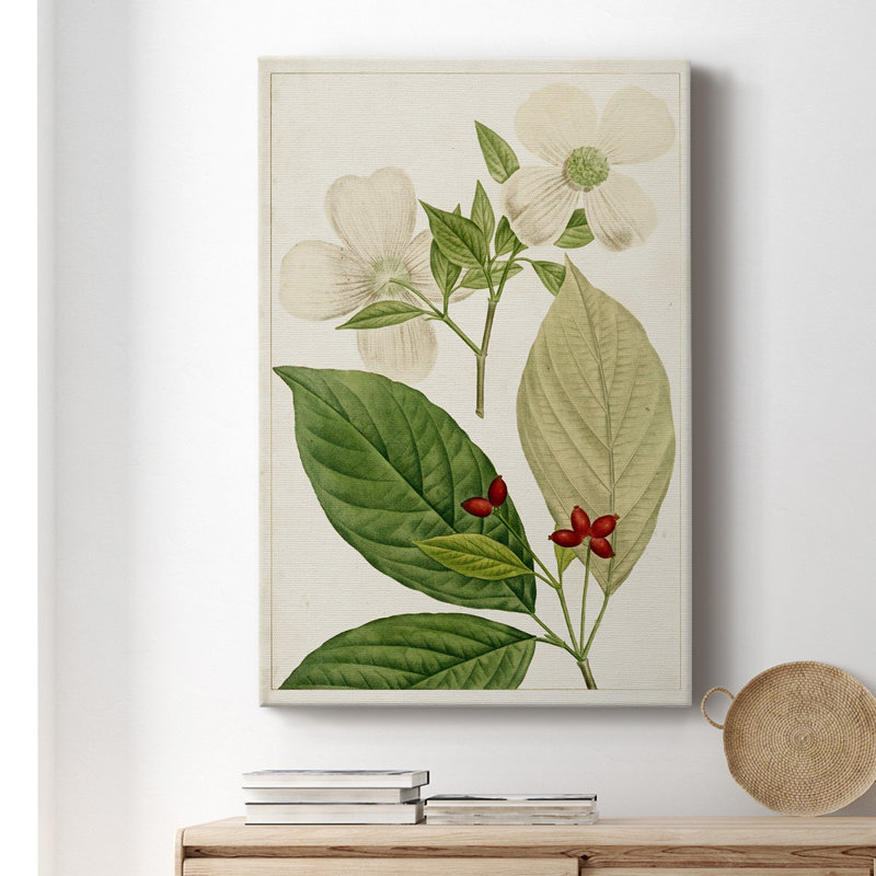 Antique, arbres en fleurs III - impression sur toile tendue, H 48 po x l 32 po x P 1 po