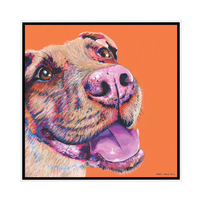 Pitbull on Orange, Square 1 Piece Painting on Canvas, 45.72 cm H x 45.72 cm W, White Framed
