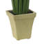 Plante de sol en pot