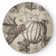 Kisor Chenille Indoor Rug