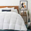 Winter Down Alternative Comforter-23798261