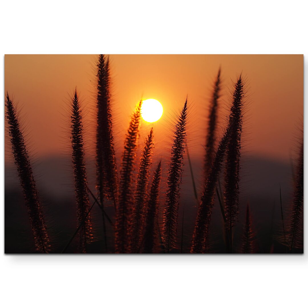 Leinwandbild Grashalme im Sonnenuntergang