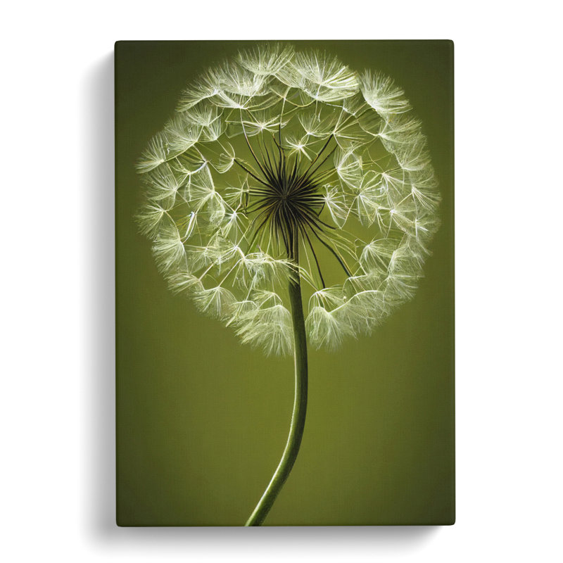 Dandelion Portrait Vol.1 - Wrapped Canvas, 50cm H x 35cm W x 3cm D