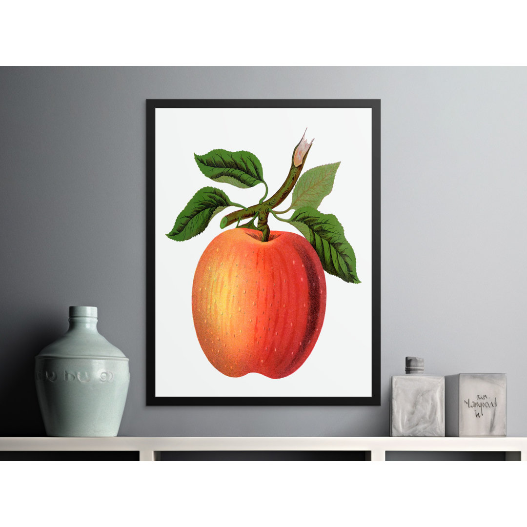 No Frame Print