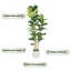62.06 " H Faux Pothos Tree in Plastic Pot