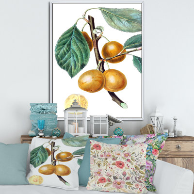 «Vintage Fruits II», reproduction sur toile flottante