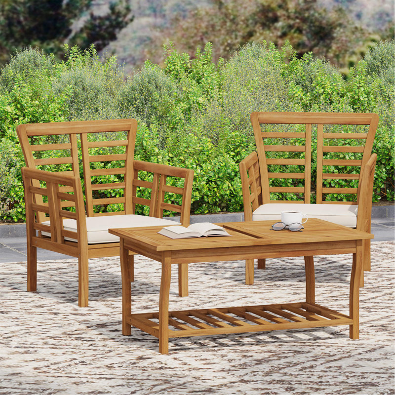 2 CHAISES CLUB CAYDON + TABLE