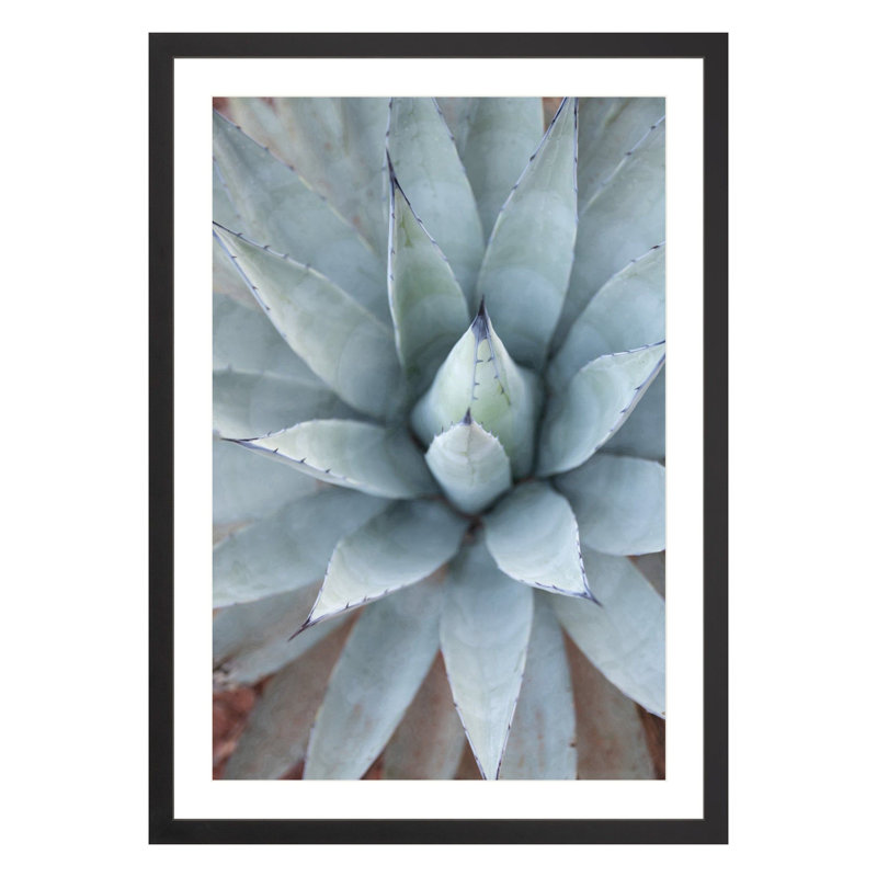 Plants & Flowers Print, Black, 42" H x 28" W x 2.25" D