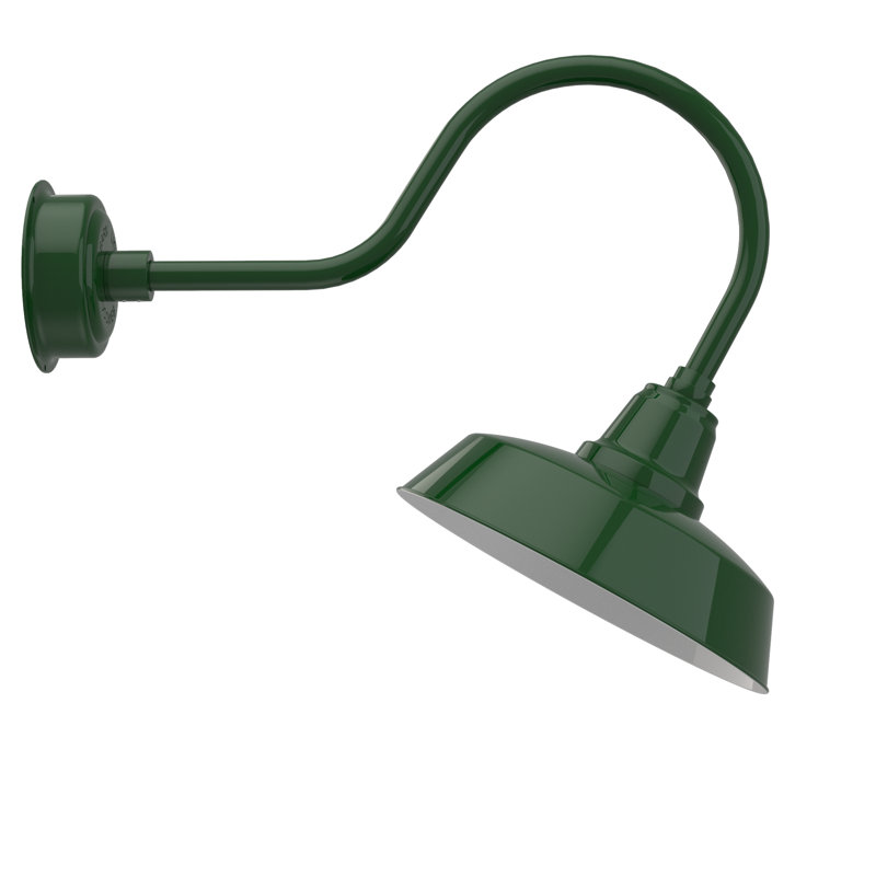 Luminaire de grange d’extérieur à del Vandervliet, H 8 po x l 14 po x P 12 po, Vert rétro