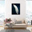 Habillé de plumes - impression-72500300-119403333-72500307