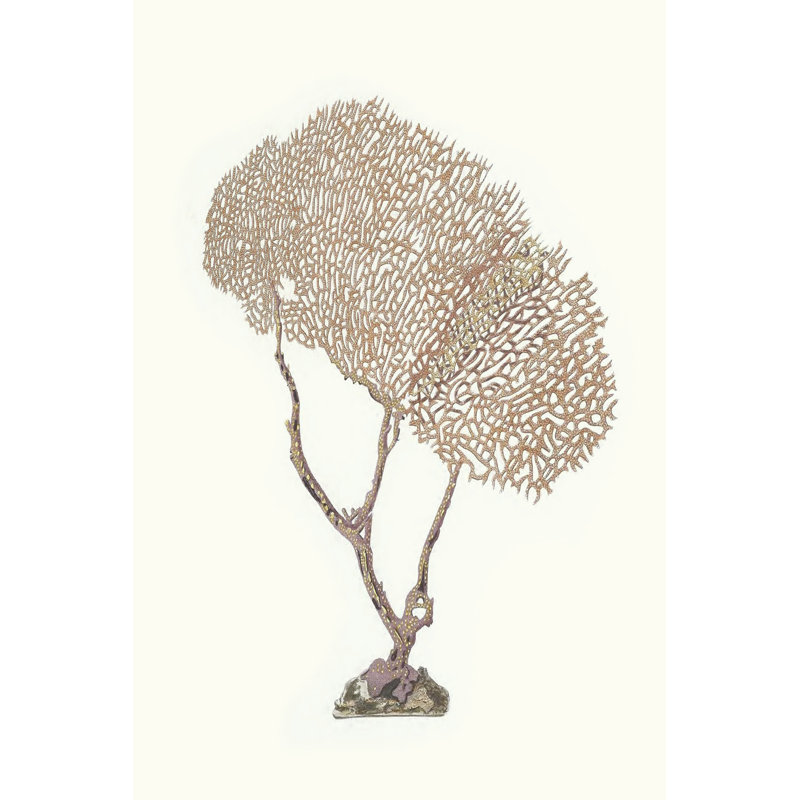 Terra Cotta Coral V - Wrapped Canvas Art Prints, 91cm H x 61cm W
