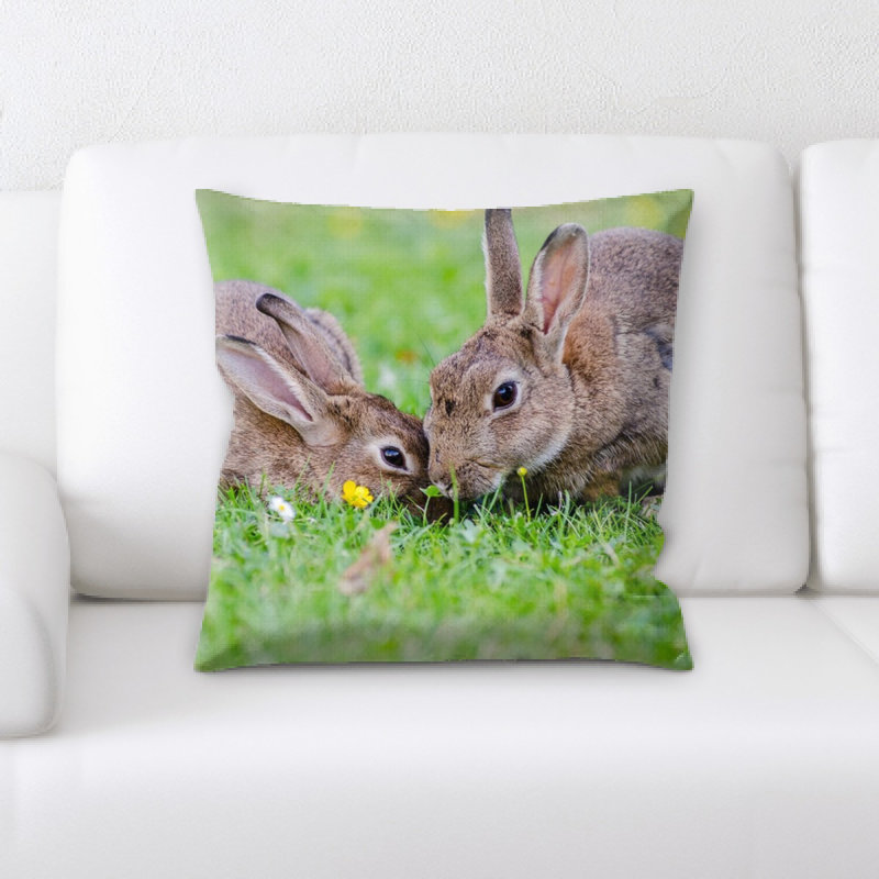 Coussin de lapin européen