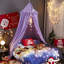 Esgerth Polyester Bed Canopy