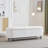 Elegant Ottoman With Spacious Storage Function