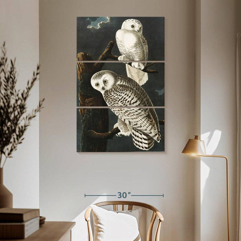 Brampt Snowy Owls, 65" H x 42" W