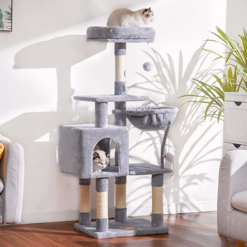 Arbre à chat Evola, H 50,39 po x l 15,75 po x L 19,69 po, Gris