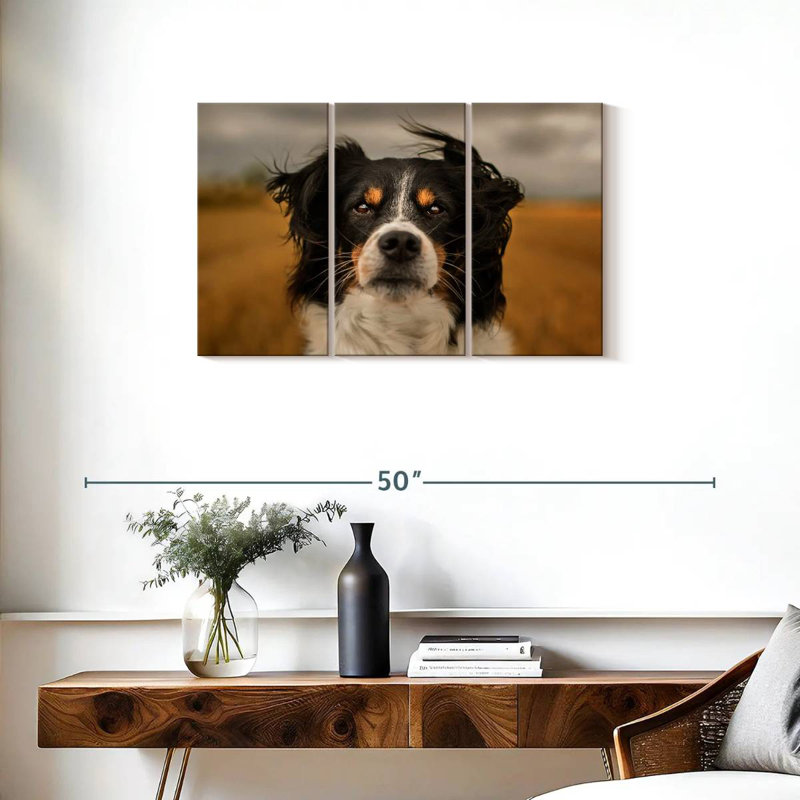 Brampt Expressive Border Collie, 20" H x 33" W