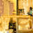 Octavous Indoor / Outdoor 1 - Bulb 118 in. LED Curtain String Light
