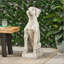 Charmante statue de chien d'extérieur blanc antique, légère et durable, aucun assemblage requis pour une installation facile