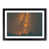 Black Framed