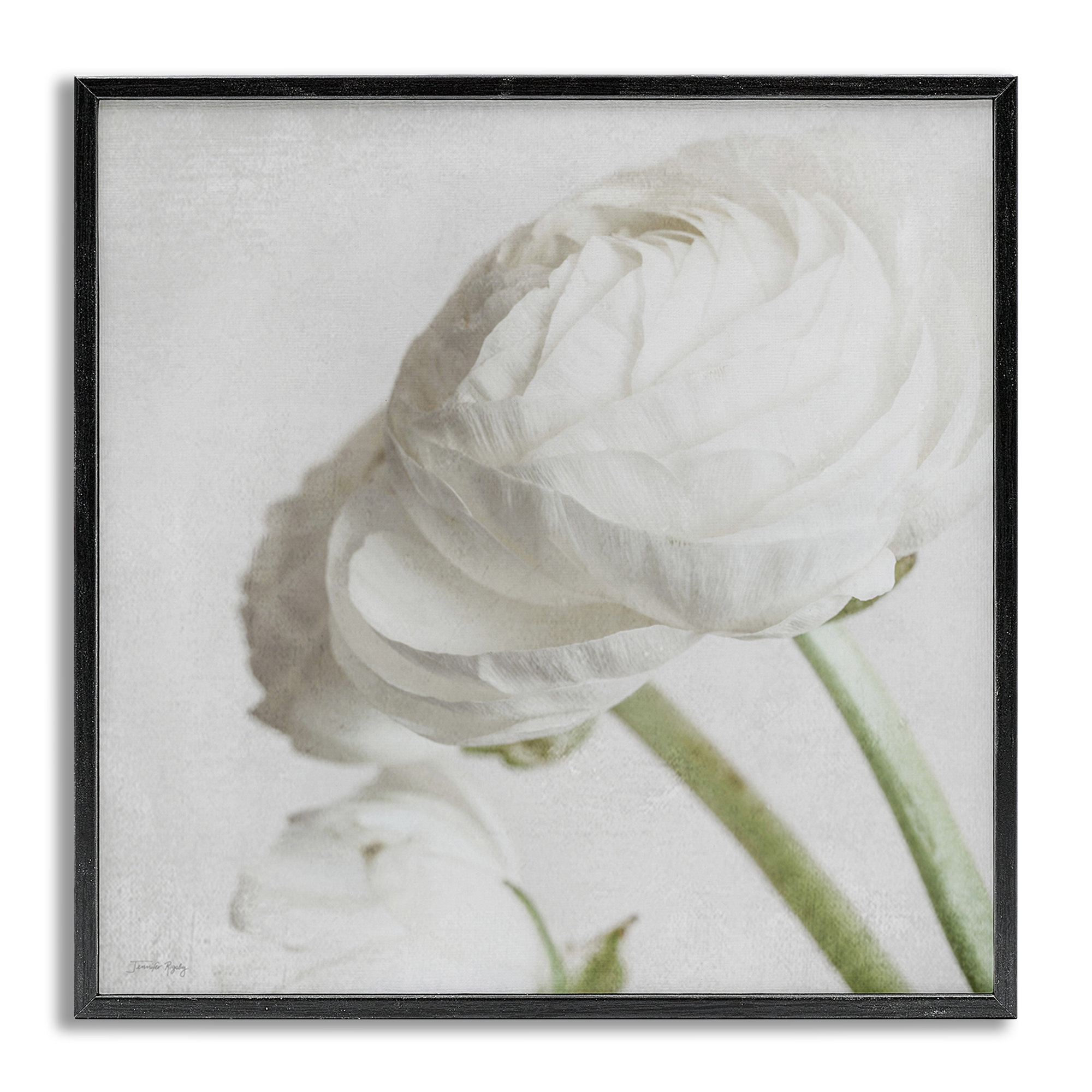 Winston Porter Charming White Peony Giclee Art by Jennifer Rigsby | Wayfair