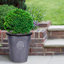 Rustic Style Rolled Rim Vase Planter-32389893-32389894
