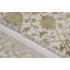 Dharma Oriental Area Rug