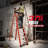 Fiberglass Ladder, 330 Lb Load Capacity