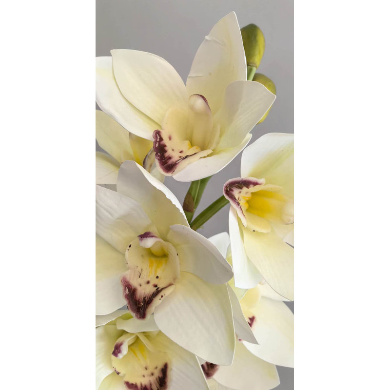 CYMBIDIUM BLOOMS PU 12'', White