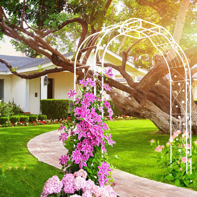 Arche de jardin en métal blanc crème, 74,4 po x 98,4 po, pour treillis de plantes