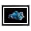 Blue Siamese Fighting Fish in Abstract - Picture Frame Graphic Art Print-55679488-55679489