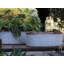 Planter-748794097-748794110