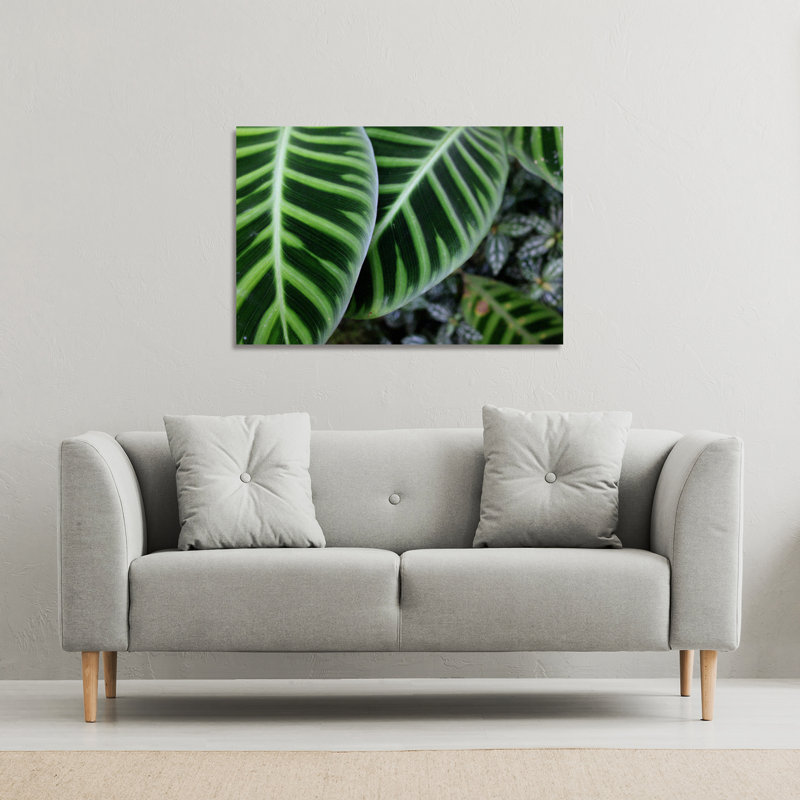 Andrew Lee - Wrapped Canvas Print, 101cm H x 77cm W x 4cm D