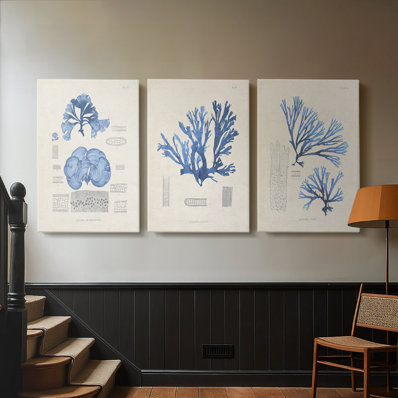 Blue Marine Algae IV - Toile tendue avec châssis sur mesure - 3 pièces, H 12 po x l 24 po