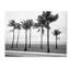 Art mural sur toile tendue - Preston «Florida BW Beach Palms», décoration murale pour le salon, la chambre à coucher ou le bureau - 24 x 32-714539525