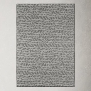 https://assets.wfcdn.com/im/14354266/resize-h310-w310%5Ecompr-r85/2319/231923018/emilia-gray-indooroutdoor-rug.jpg