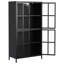Armoire de rangement en métal avec portes en verre trempé, stable, pour la chambre à coucher, finition antique, tablettes spacieuses, salles à manger stables